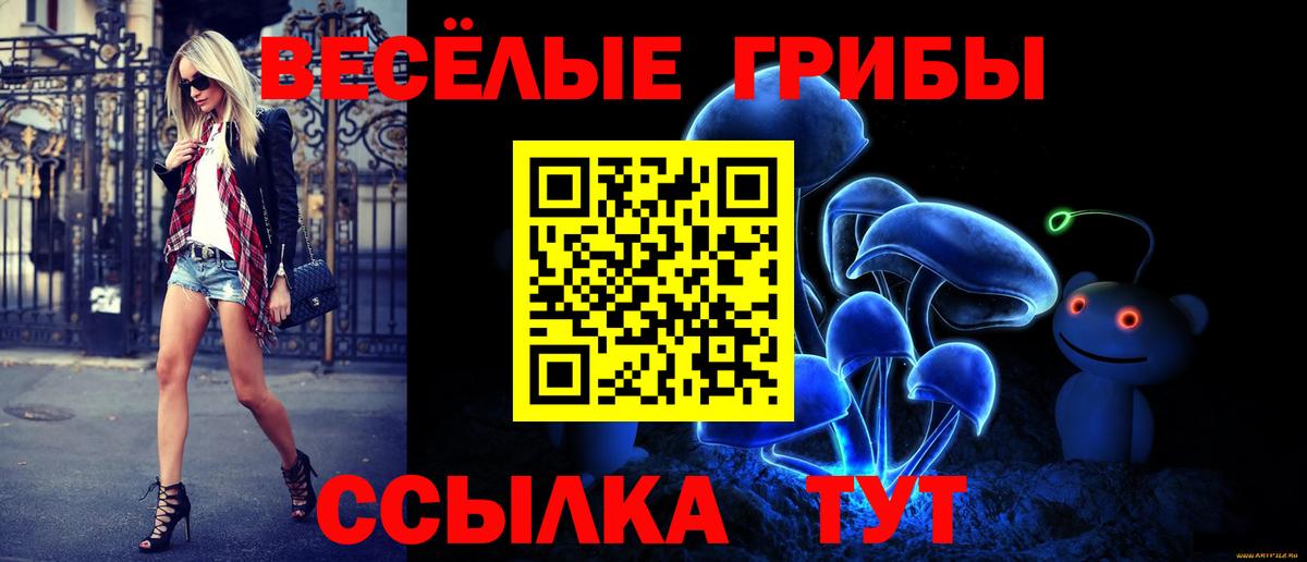 Псилоцибиновые грибы Cubensis Ангарск