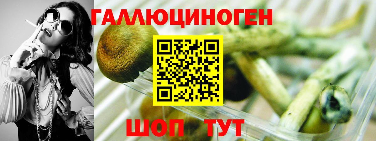 Ангарск  купить наркотики сайты  Вход с VPN  Псилоцибиновые грибы Cubensis 